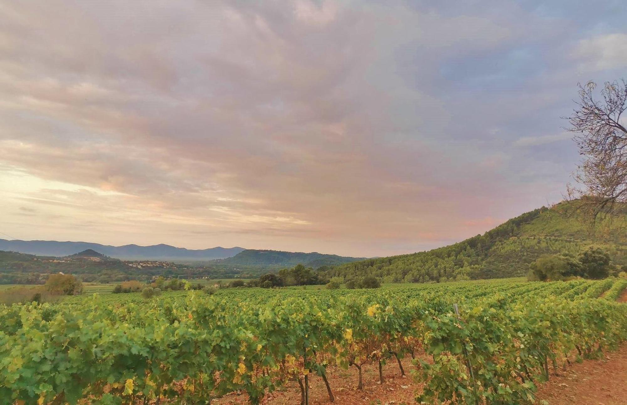 Les Arcs-sur-Argens Le Nid En Chante Vue Panoramique מראה חיצוני תמונה