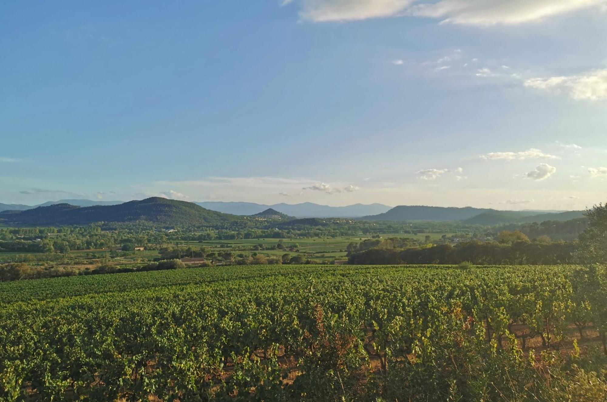 Les Arcs-sur-Argens Le Nid En Chante Vue Panoramique מראה חיצוני תמונה